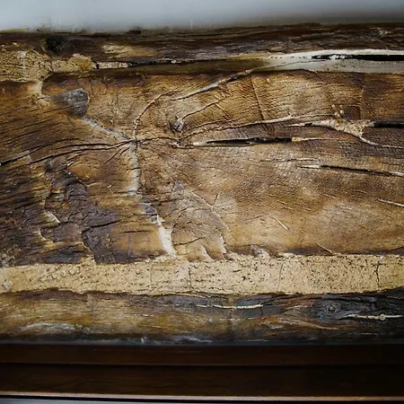 Casa de Férias 5 - Giu In Dimora *