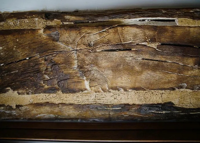 別荘 5 - Giu In Dimora *